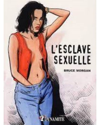 l'esclave sexuelle; livre; bouquin; cadeau; offrir; librairie; humour