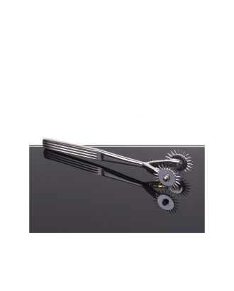 roue - sm - corps - sexe - bdsm - picots - acier - Aiguilles Wartenberg