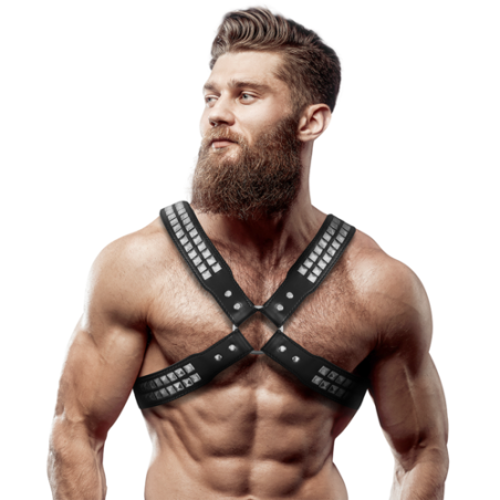 harnais; hommes; anneau; bondage; sm; bdsm