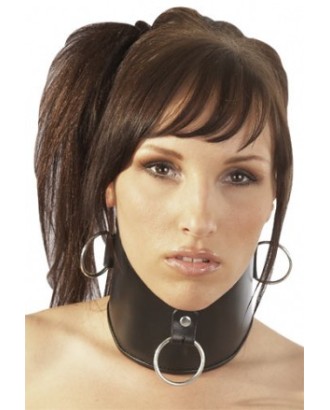 collier; large; cou; cuir; anneau; zado