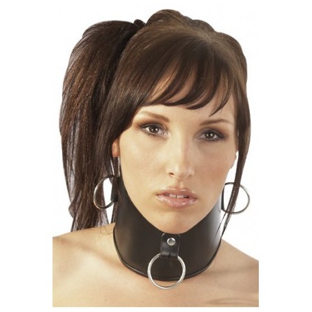 collier; large; cou; cuir; anneau; zado